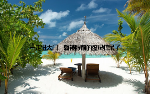 一走进大门, 就被眼前的盛况惊呆了