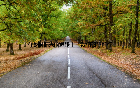 在乡村振兴的道路上, 我们砥砺前行