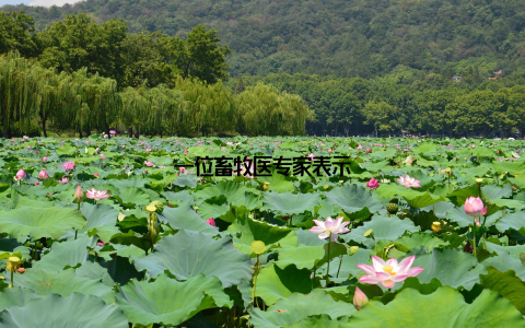 一位畜牧医专家表示