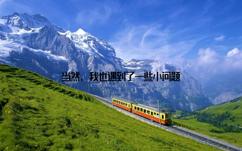 当然, 我也遇到了一些小问题