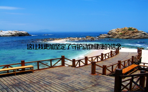 这让我更加坚定了守护动物健康的信念