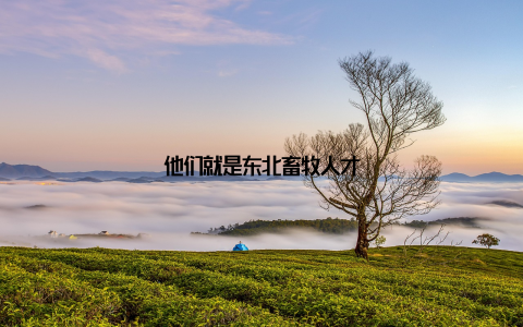 他们就是东北畜牧人才