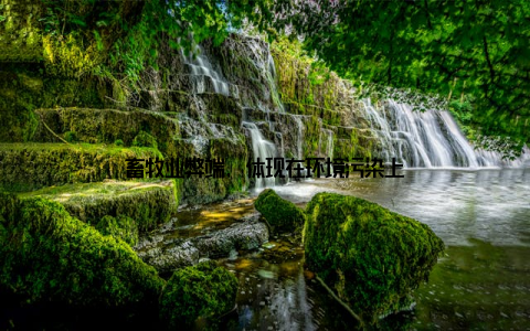 畜牧业弊端, 体现在环境污染上