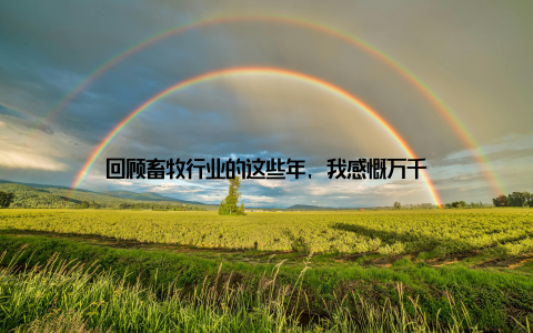 回顾畜牧行业的这些年, 我感慨万千