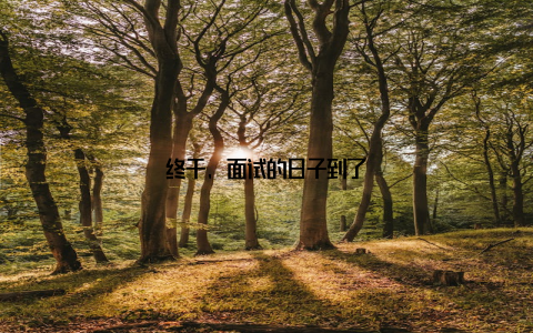 终于, 面试的日子到了