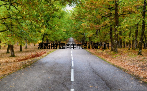 我要说的是肉羊市场前景光明