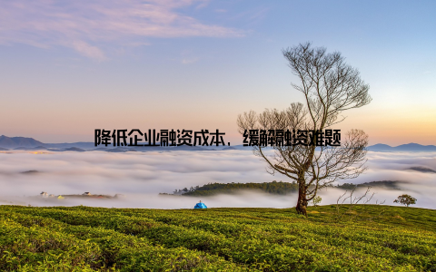 降低企业融资成本, 缓解融资难题