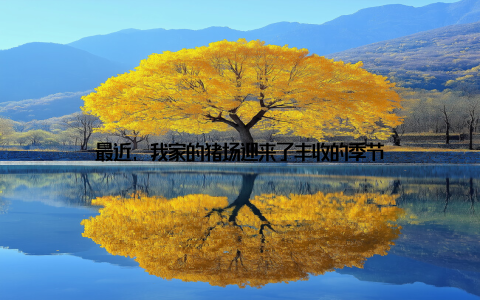 最近, 我家的猪场迎来了丰收的季节