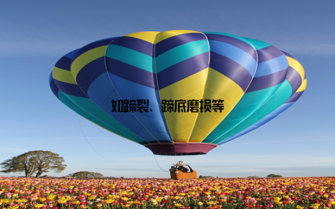 如蹄裂、蹄底磨损等