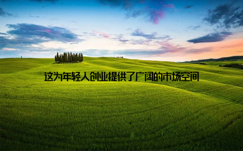 这为年轻人创业提供了广阔的市场空间