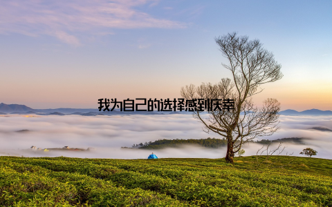 我为自己的选择感到庆幸