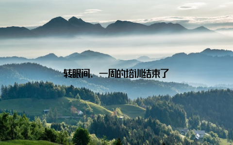 转眼间, 一周的培训结束了
