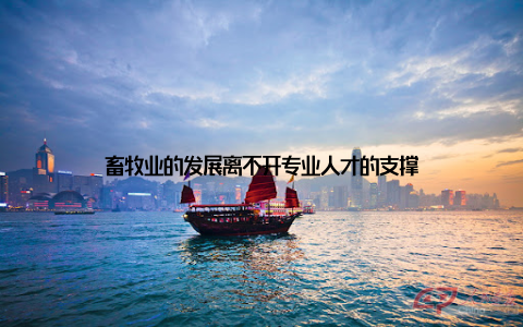 畜牧业的发展离不开专业人才的支撑