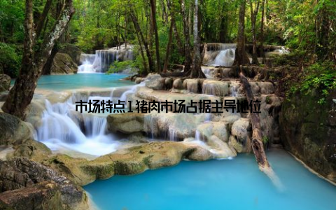 市场特点1猪肉市场占据主导地位