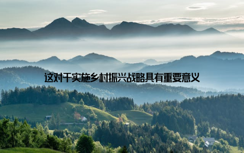 这对于实施乡村振兴战略具有重要意义