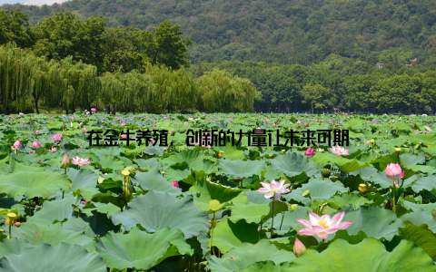 在金牛养殖, 创新的力量让未来可期