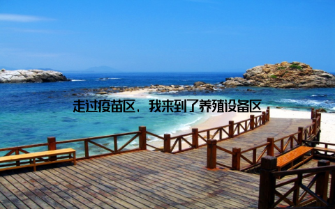 走过疫苗区, 我来到了养殖设备区