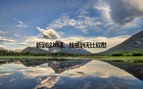 听到这句话, 我感到无比欣慰