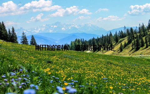 刚开始的时候, 这条路并不好走