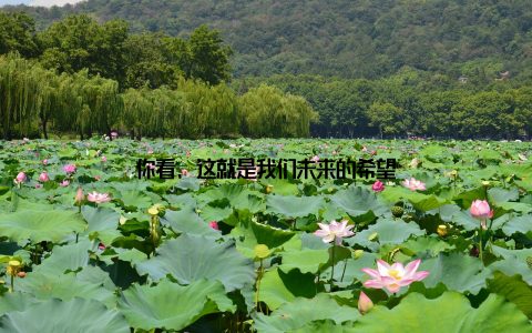 你看, 这就是我们未来的希望