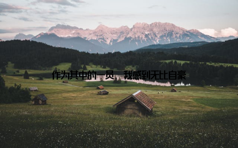 作为其中的一员, 我感到无比自豪