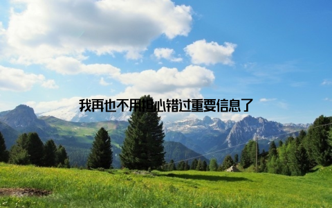 我再也不用担心错过重要信息了