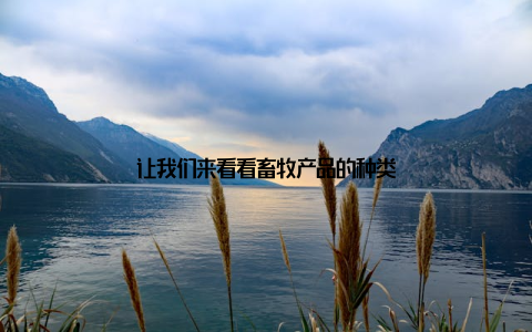 让我们来看看畜牧产品的种类