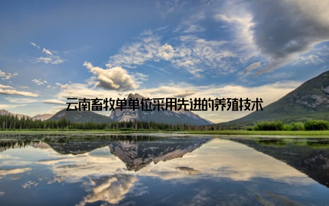 云南畜牧单单位采用先进的养殖技术