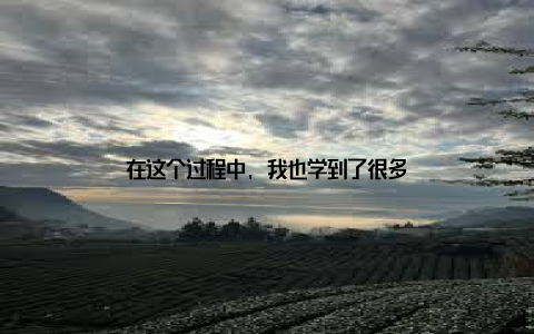 在这个过程中, 我也学到了很多