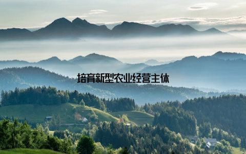 培育新型农业经营主体