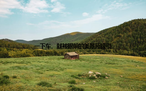 一下车, 就被眼前的美景所吸引