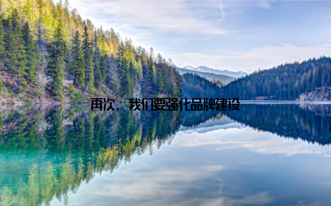 再次, 我们要强化品牌建设