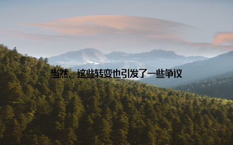 当然, 这些转变也引发了一些争议