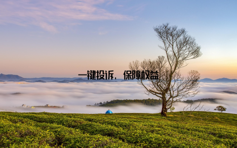 一键投诉, 保障权益