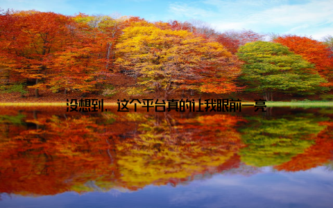 没想到, 这个平台真的让我眼前一亮