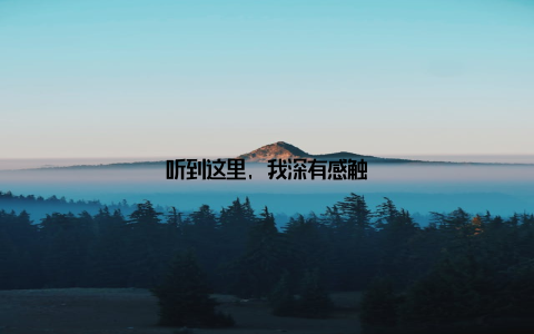 听到这里, 我深有感触