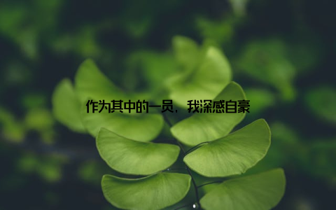 作为其中的一员, 我深感自豪