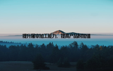 提升屠宰加工能力, 提高产品附加值