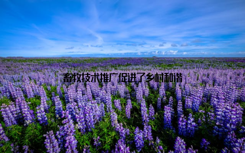 畜牧技术推广促进了乡村和谐