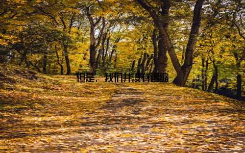 但是, 我们并没有退缩