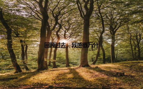 回顾过去, 我感慨万分