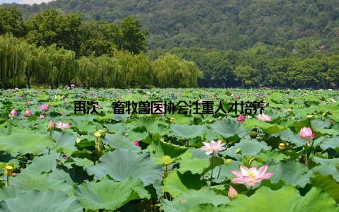 再次, 畜牧兽医协会注重人才培养