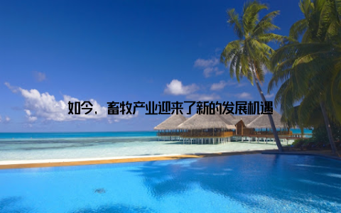 如今, 畜牧产业迎来了新的发展机遇