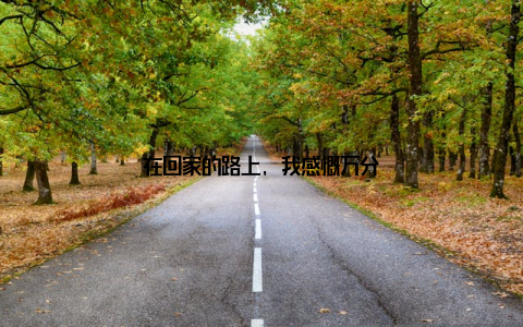 在回家的路上, 我感慨万分