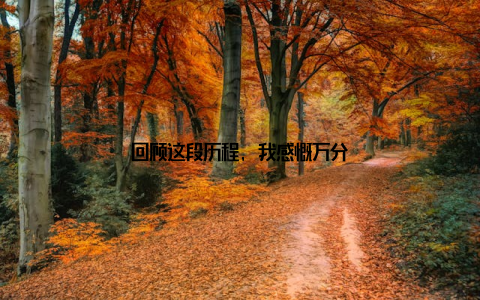 回顾这段历程, 我感慨万分