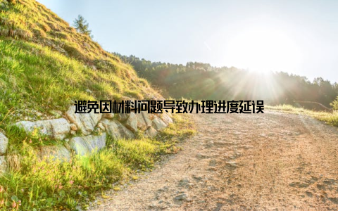 避免因材料问题导致办理进度延误