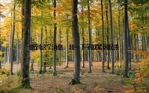 听到这个消息, 我一下子就紧张起来