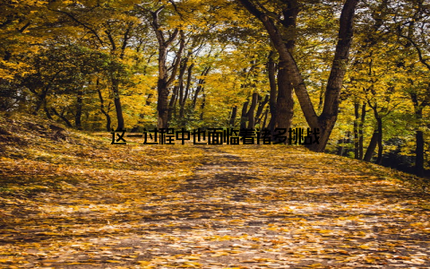 这一过程中也面临着诸多挑战