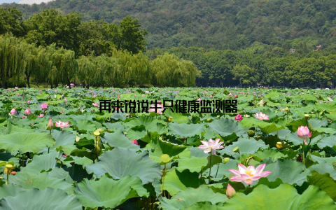 再来说说牛只健康监测器