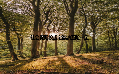 社会保险按规定缴纳五险一金